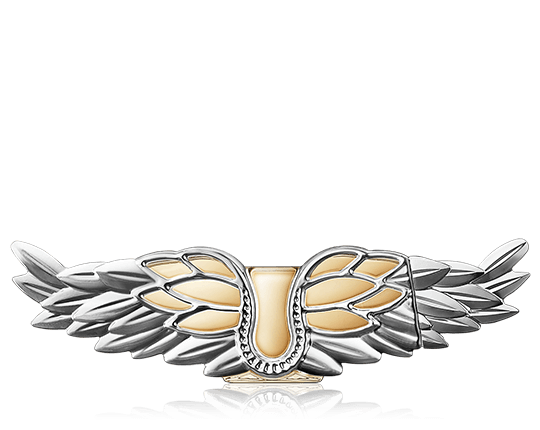 Zadig & Voltaire Zadig Eau de Parfum Spray (nachfüllbar) (90 ml)