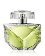 Britney Spears Believe Eau de Parfum Spray 100 ml