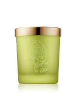 Etro Home Collection Dafne Perfumed Candle Duftkerze 170 g