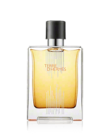 Hermès Terre d'Hermès H-Flacon 2021 Limited Edition Eau de Toilette Spray 100 ml