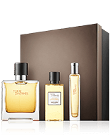 Hermès Terre d'Hermès Set mit Mini Parfum & Hair and Body Shower Gel