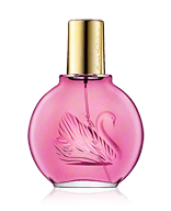 Vanderbilt Minuit à New York Eau de Parfum Spray 100 ml
