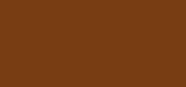Brow Gel Chocolate