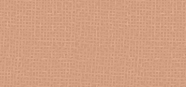 Blusher 13 Brown Orange Blush