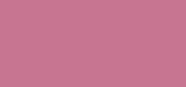 Perfect Color Lipstick 955 Frosted Rose