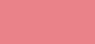 Extra Plump Lip Serum Bare Rose
