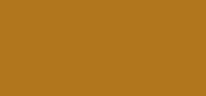 Intensive Serum Foundation SPF 40/30 Golden