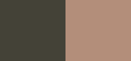 Long-Wear Cream Shadow Stick Duo Cafe / Gilded Green