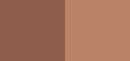 Long-Wear Cream Shadow Stick Duo Heat Ray / Biscotti