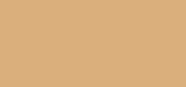 Weightless Skin Neutral Warm Natural