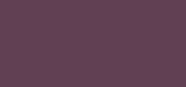 Le Vernis Oiseau de Nuit 141