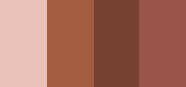 Ombre 4 Couleurs 03 Flame Gradation