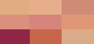 Backstage Eye Palette 007 Coral Neutrals