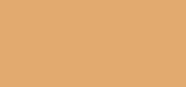 Forever Skin Correct 4W Warm