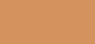 Forever Skin Glow 4.5N
