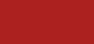 Rouge Dior On Stage Ink 861 Bold in Red