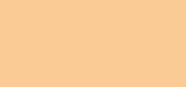 Double Wear Stay-in-Place Makeup SPF 10 1N0 Porcelain
