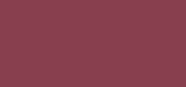 Pure Color Creme Lipstick 670 Bold Desires