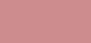 Pure Color Creme Lipstick 868 Influential