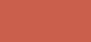 KissKiss Blur Matte Lips 615 Orange Blossom