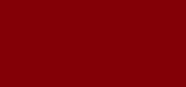 Rouge G Luxurious Velvet Metal 888 Noble Burgundy