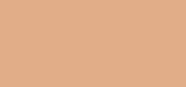 Terracotta Matte Light