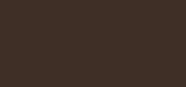 PureBrow Dark Brown