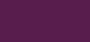 Nail Polish Berry Punch