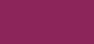 Nail Polish Purple Chic
