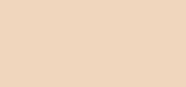 Studio Fix Tech Cream-To-Powder Foundation NW10