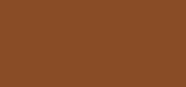 Studio Radiance Face and Body Radiant Sheer Foundation N6