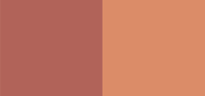 Two Reasons Soft Nude