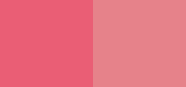 Two Reasons Sugar Rose