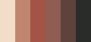 Palette Caramel Smoke