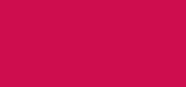 Phyto Rouge Velvet 22 Rose Punch