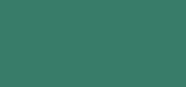 Wet Detangler Green Jungle