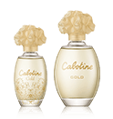 Grès Cabotine Gold