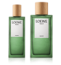 Loewe Agua Miami