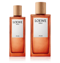 Loewe Solo Atlas