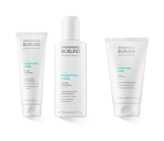 Annemarie Börlind Purifying Care