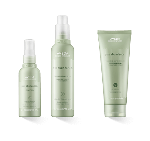 Aveda Pure Abundance